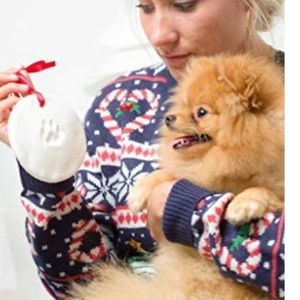 NIB Paw Print Ornament Impression Kit For Dogs & Cats